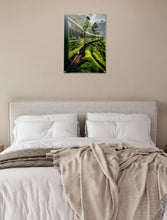 Load image into Gallery viewer, Freedom drive: Green paradise