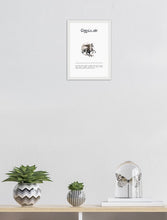 Load image into Gallery viewer, Jaiden