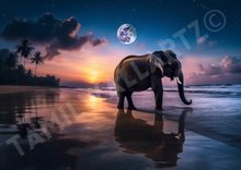 Load image into Gallery viewer, Meeting of the giants: The lone elephant and the Shining Moon on the beach