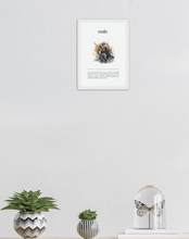 Load image into Gallery viewer, Ranveer