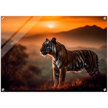Load image into Gallery viewer, Striped majesty: A tiger's sunset II