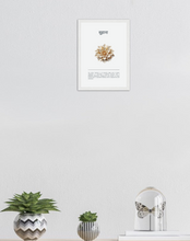 Load image into Gallery viewer, Suhara