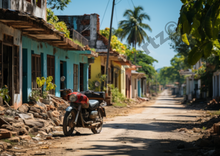 Load image into Gallery viewer, Village in jaffna