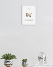 Load image into Gallery viewer, Anita