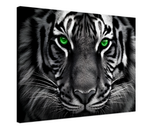 Load image into Gallery viewer, The green focus: A tiger and its penetrating eyes in nature