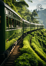 Load image into Gallery viewer, Freedom travel