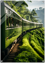 Load image into Gallery viewer, Freedom drive: Green paradise