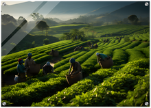 Load image into Gallery viewer, Green Paradise: Tea plantation in Sri Lanka