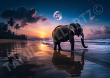 Load image into Gallery viewer, Meeting of the giants: The lone elephant and the Shining Moon on the beach
